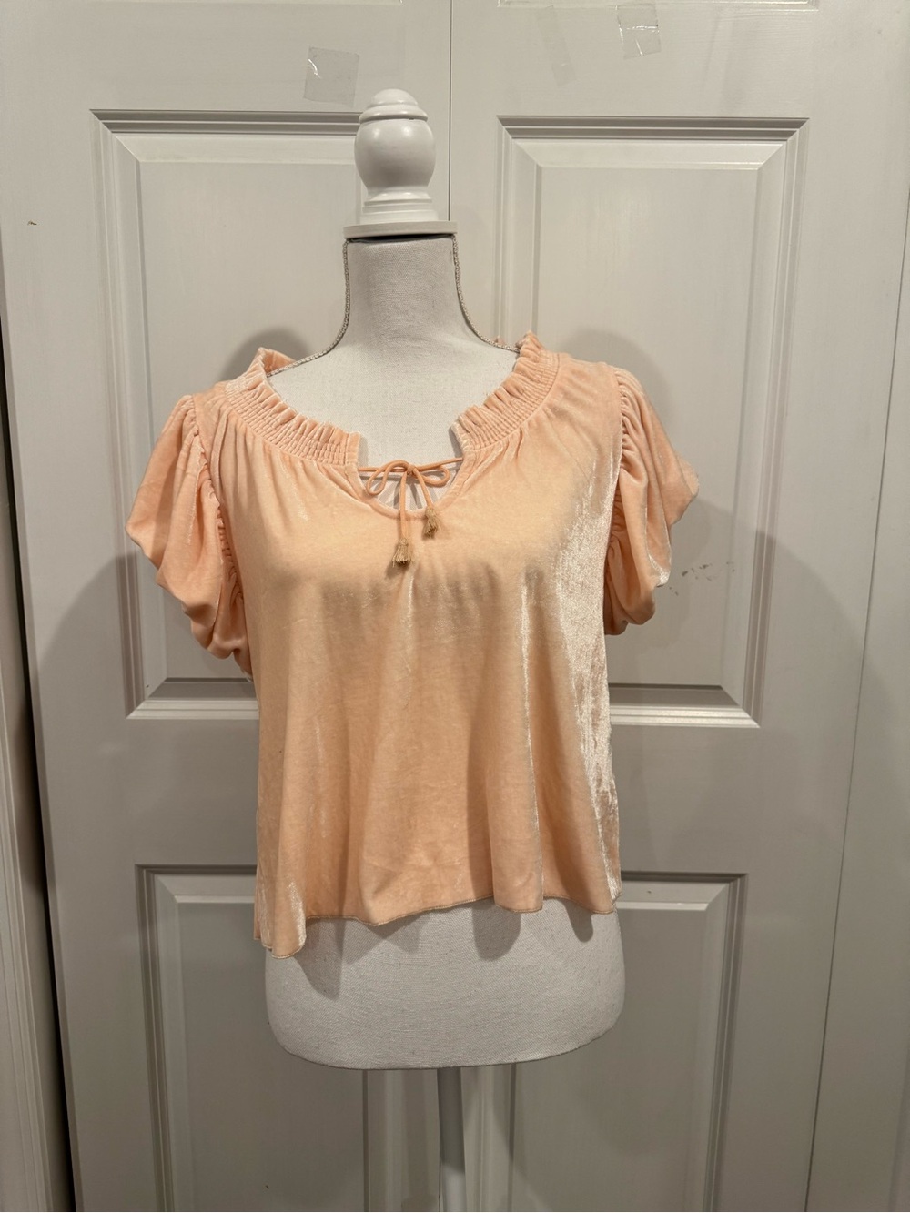 Free People Velvet Puff Sleeve Tie Front Top Blush Pink Size XS - Picture 5 of 16